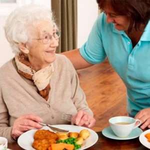 Curso Alimentación y Nutrición en el Anciano Residente